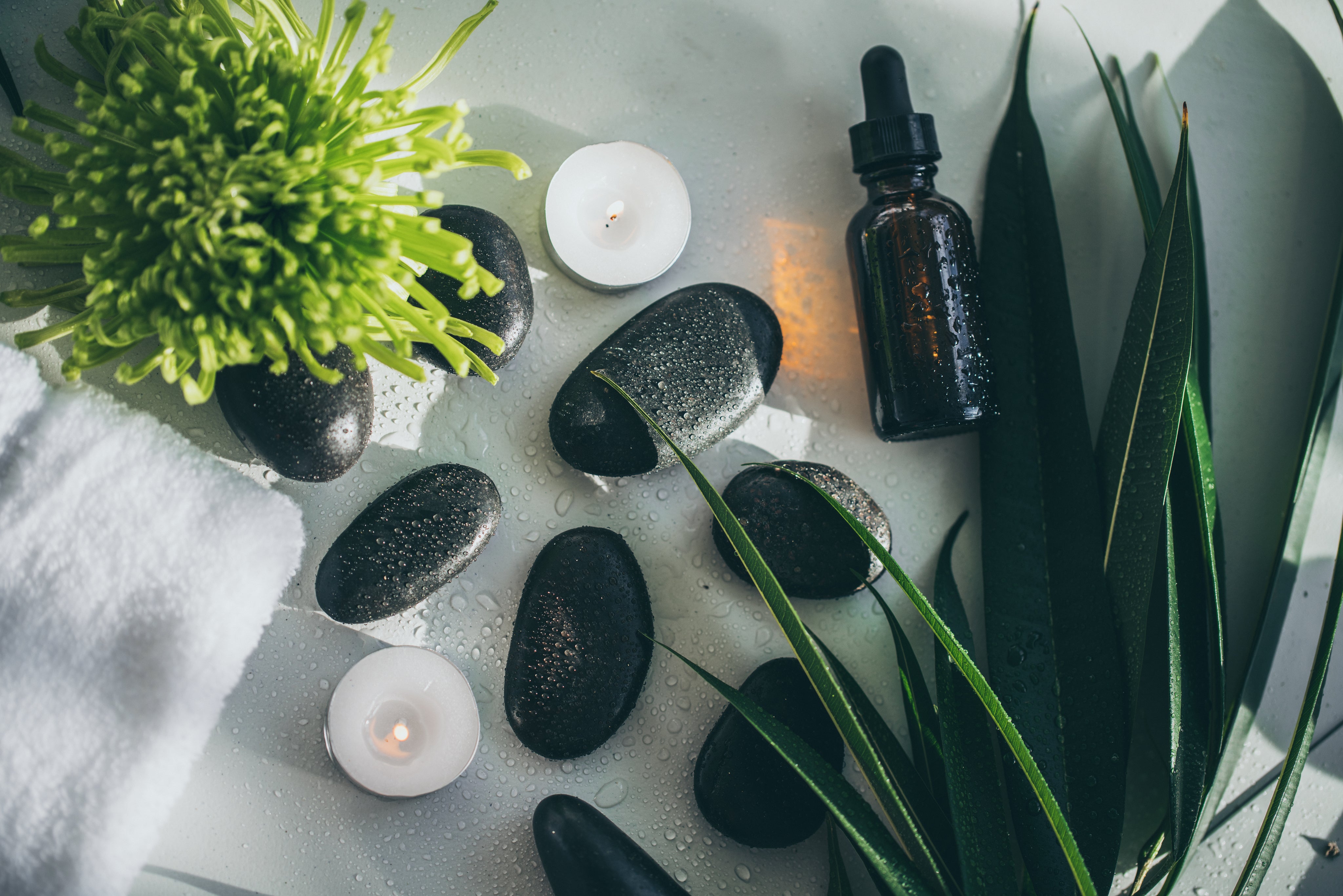 appointment with illume MD Charlotte